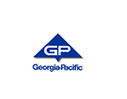 Geo Strategy Partners
