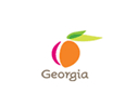 Geo Strategy Partners